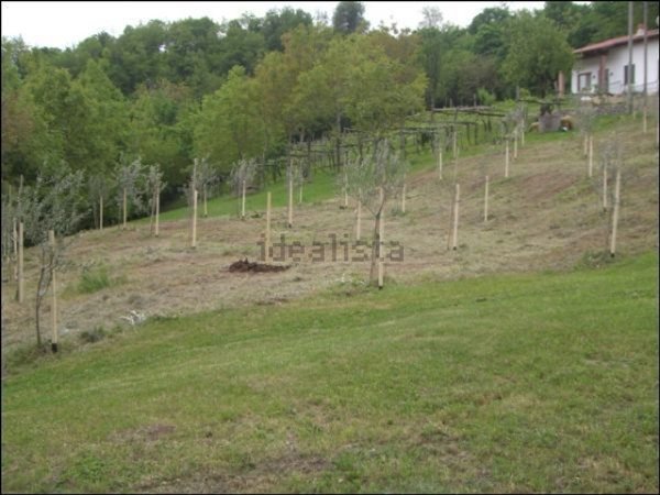 terreno edificabile in vendita a Brogliano in zona Quargnenta