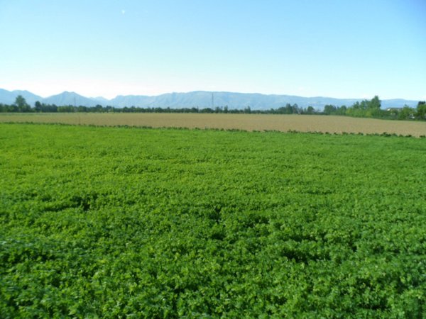 villa in vendita a Caldogno in zona Rettorgole
