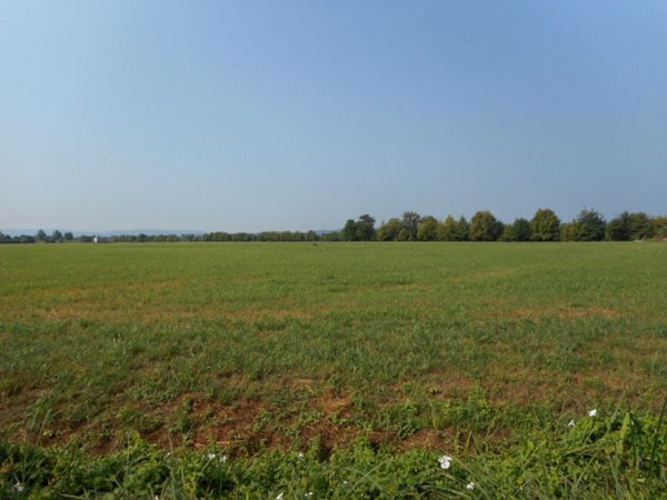 terreno edificabile in vendita a Caldogno