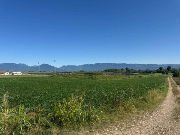 terreno agricolo in vendita a Caldogno
