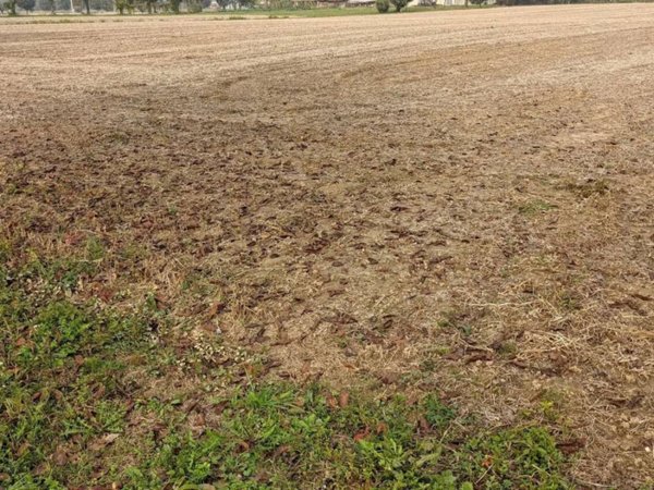 terreno edificabile in vendita a Caldogno in zona Cresole