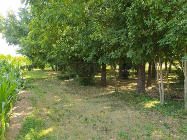 terreno agricolo in vendita a Caldogno