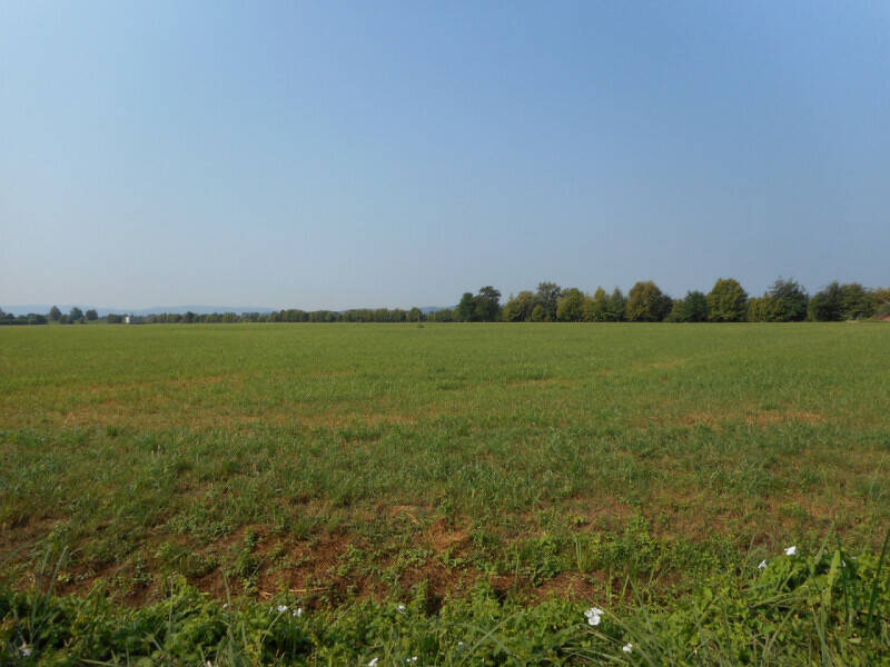 terreno agricolo in vendita a Caldogno