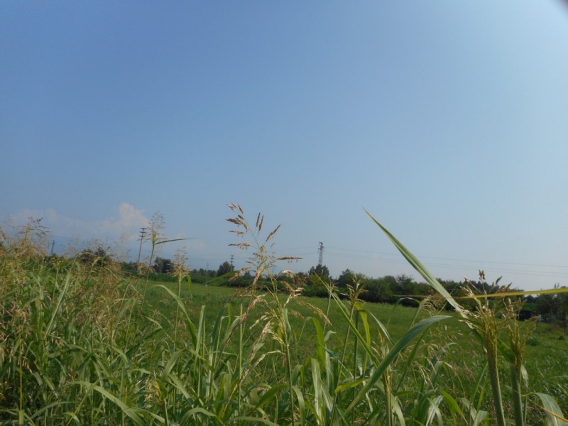 terreno edificabile in vendita a Caldogno
