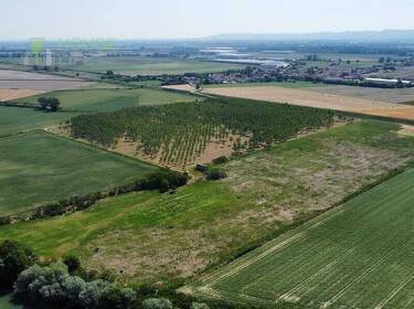 terreno agricolo in vendita a Caldogno