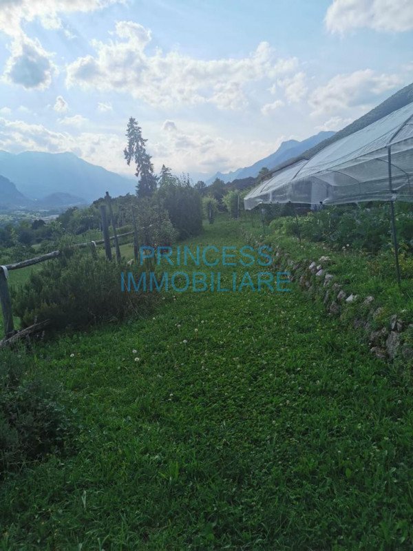 terreno agricolo in vendita a Caltrano