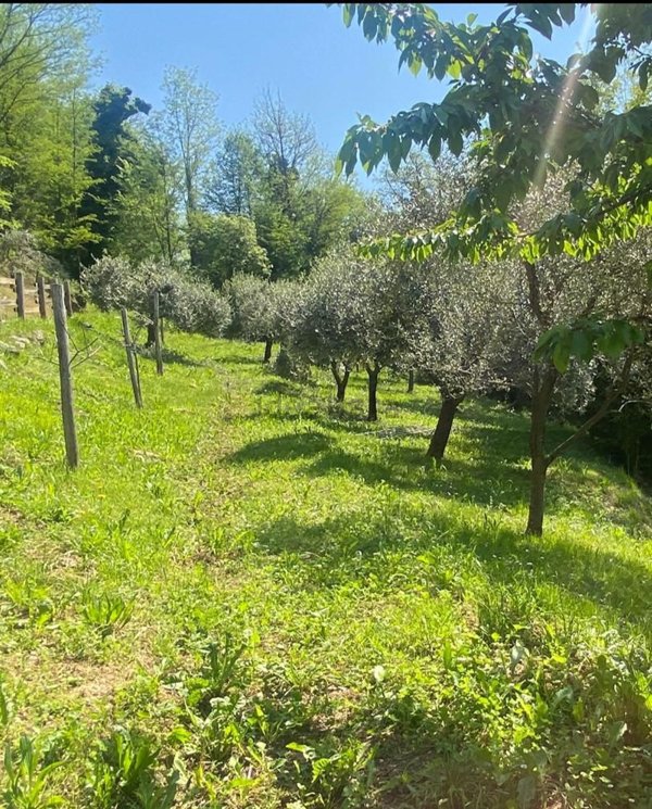 appartamento in vendita a Caltrano