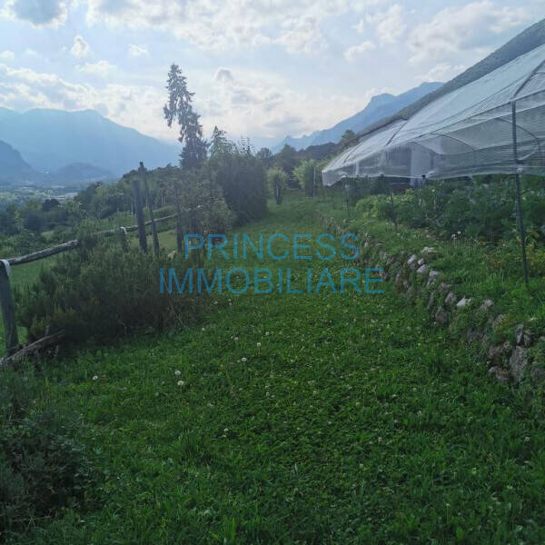 terreno agricolo in vendita a Caltrano