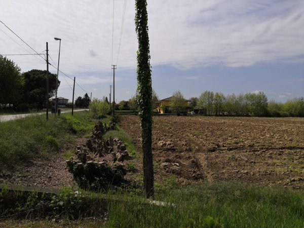terreno agricolo in vendita a Camisano Vicentino