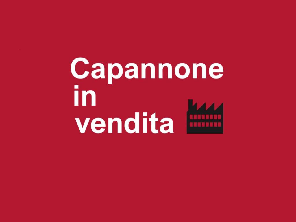 capannone in vendita a Camisano Vicentino in zona Santa Maria