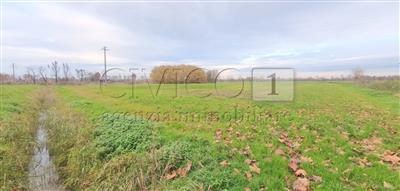 terreno agricolo in vendita a Camisano Vicentino in zona Santa Maria