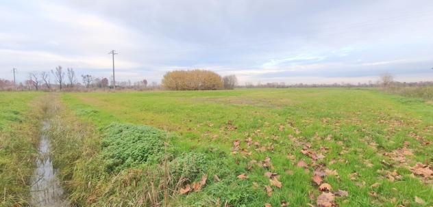 terreno agricolo in vendita a Camisano Vicentino in zona Santa Maria