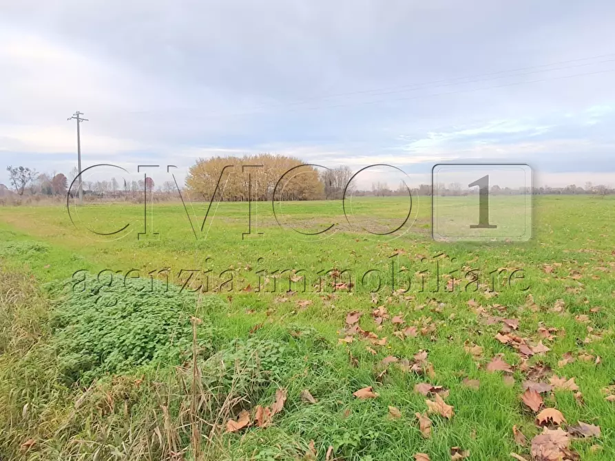 terreno agricolo in vendita a Camisano Vicentino in zona Santa Maria