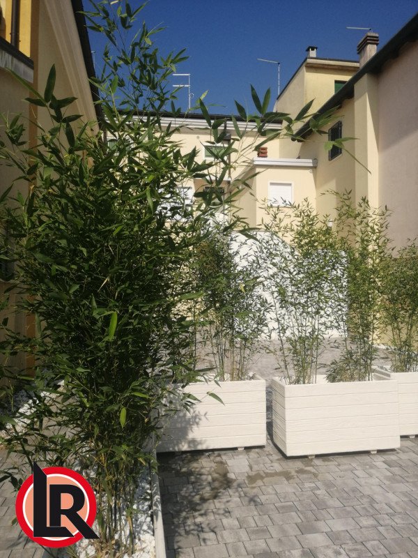 casa indipendente in vendita a Camisano Vicentino