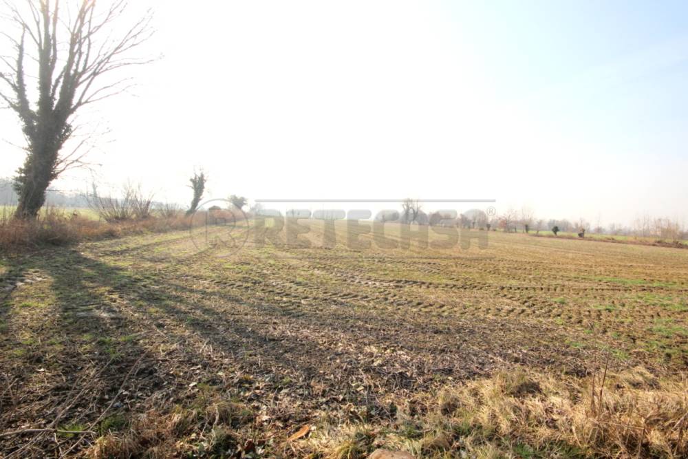 terreno agricolo in vendita a Camisano Vicentino