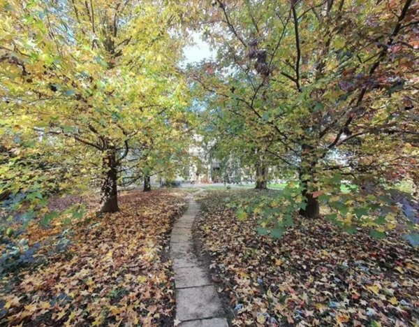 casa indipendente in vendita a Camisano Vicentino