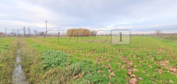 terreno agricolo in vendita a Camisano Vicentino in zona Santa Maria