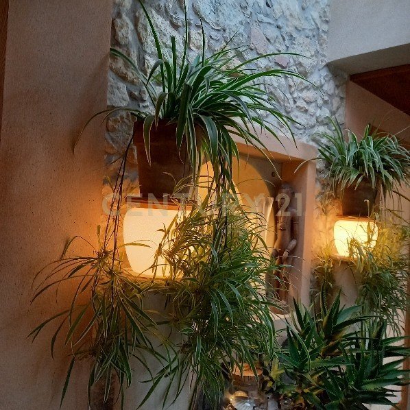 casa indipendente in vendita a Campiglia dei Berici