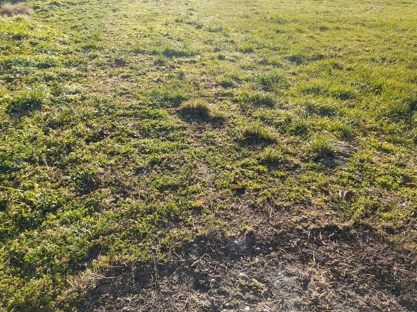 terreno agricolo in vendita a Carrè