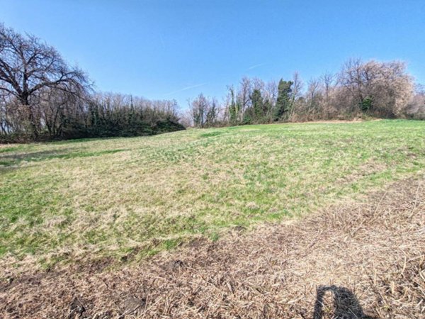 terreno agricolo in vendita a Carrè