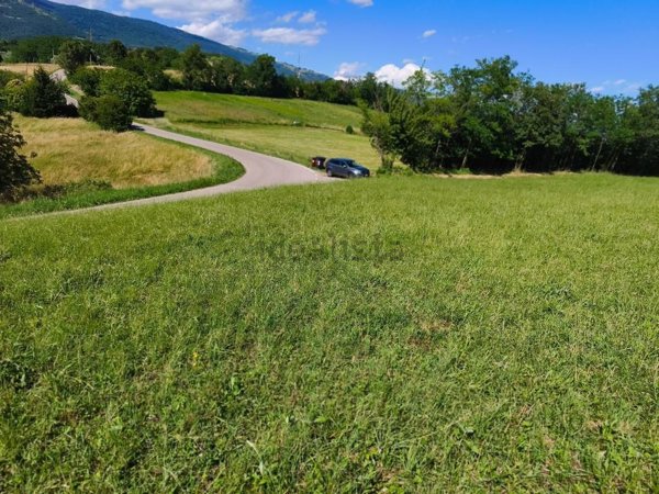 terreno agricolo in vendita a Carrè in zona Cà Vecchia
