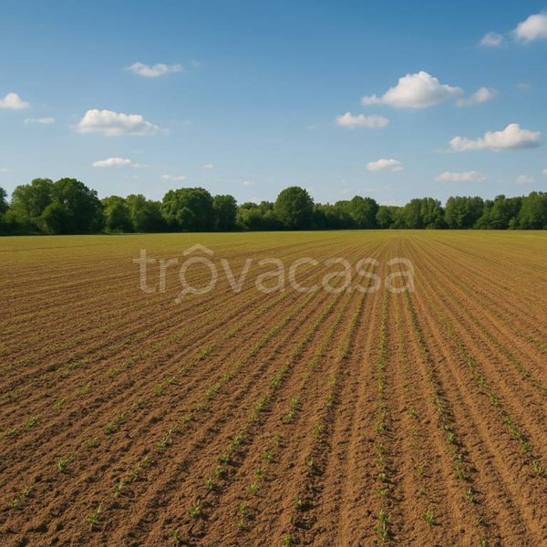 terreno agricolo in vendita a Cartigliano