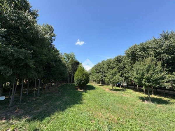 terreno edificabile in vendita a Cartigliano