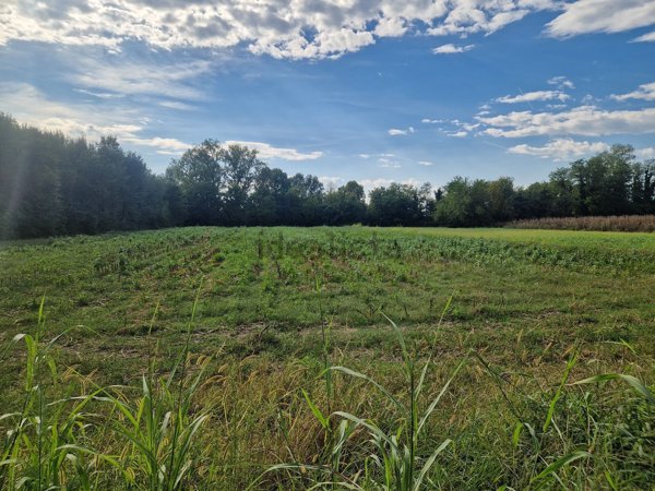 terreno agricolo in vendita a Cartigliano