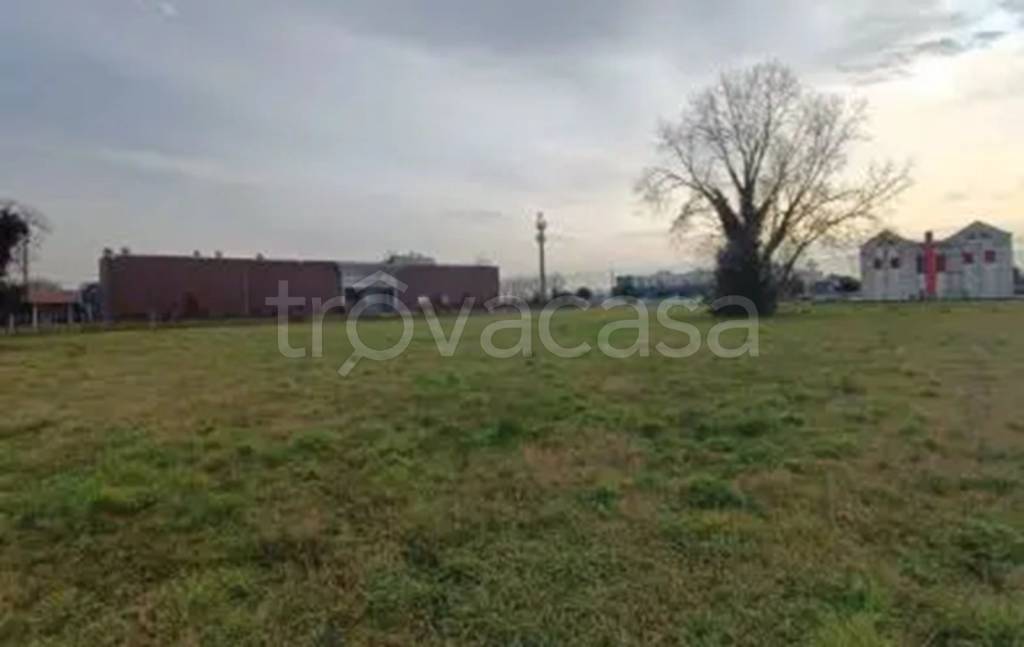 terreno agricolo in vendita a Cassola