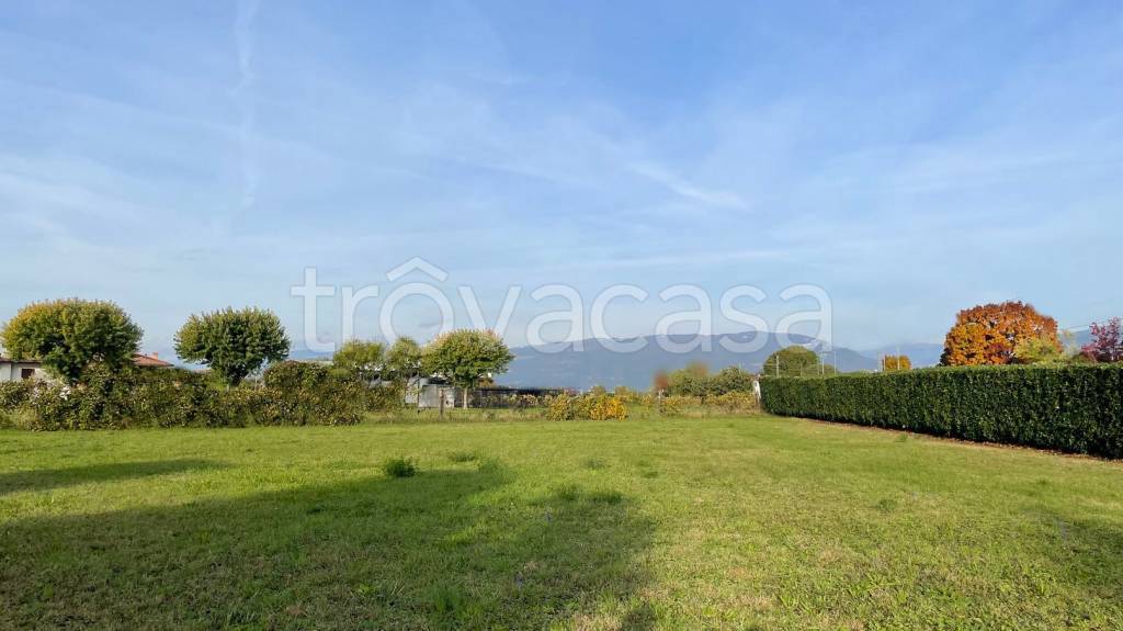 terreno agricolo in vendita a Cassola