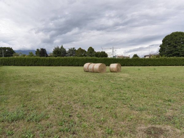 terreno edificabile in vendita a Cassola