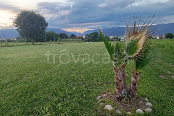 terreno edificabile in vendita a Cassola