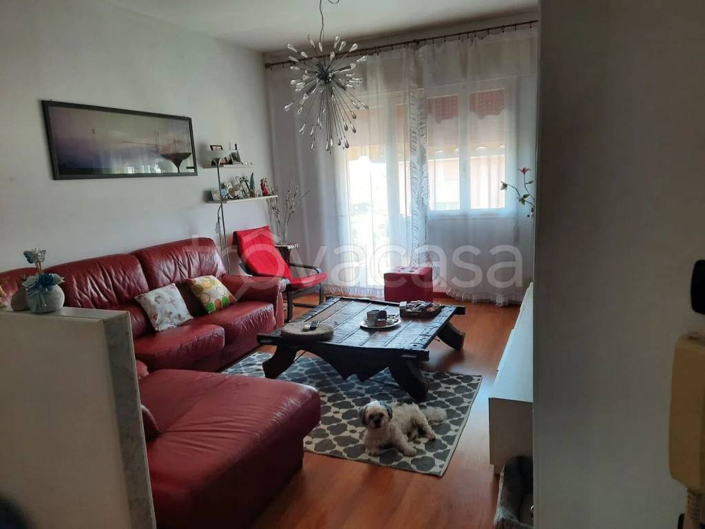 appartamento in vendita a Cassola in zona San Zeno