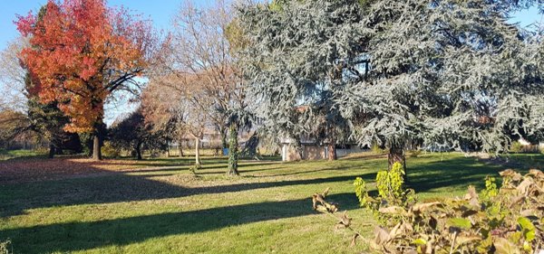 casa indipendente in vendita a Cassola