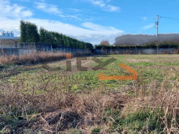 terreno agricolo in vendita a Cassola