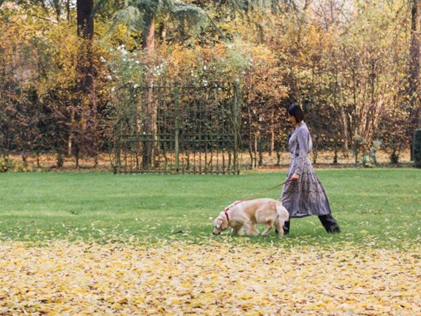 terreno edificabile in vendita a Cassola in zona San Zeno
