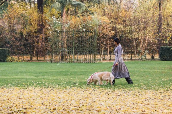 terreno edificabile in vendita a Cassola in zona San Zeno