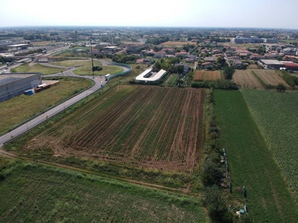 terreno agricolo in vendita a Cassola in zona San Zeno