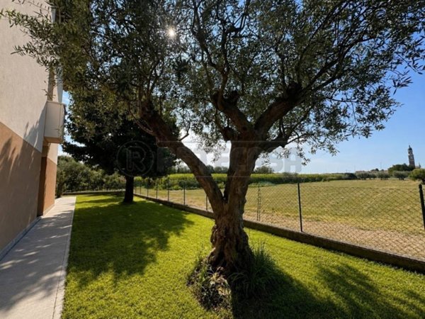 appartamento in vendita a Cassola in zona San Zeno