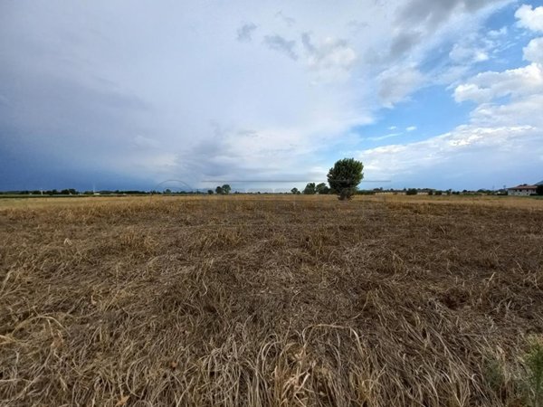 terreno agricolo in vendita a Castegnero