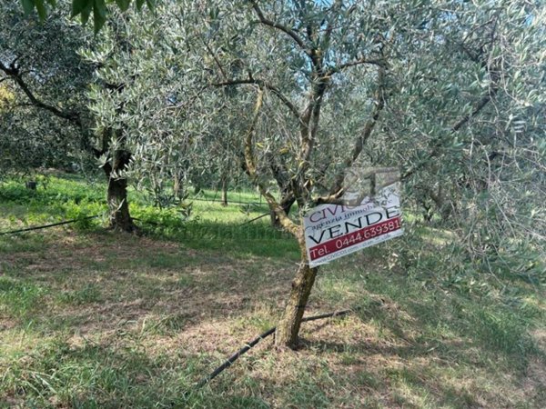terreno agricolo in vendita a Castegnero