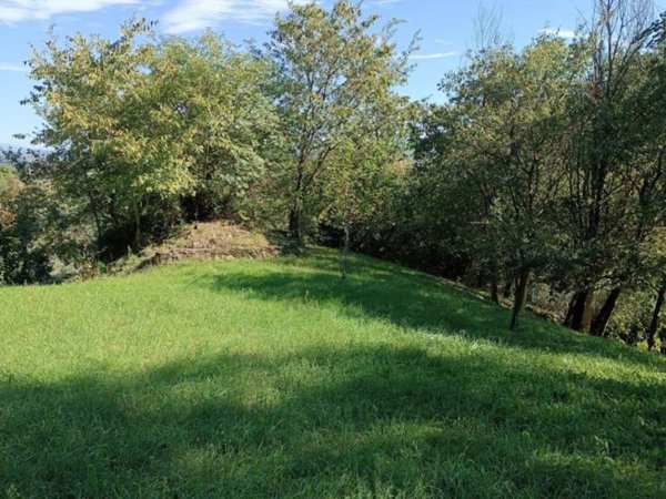 terreno agricolo in vendita a Castegnero