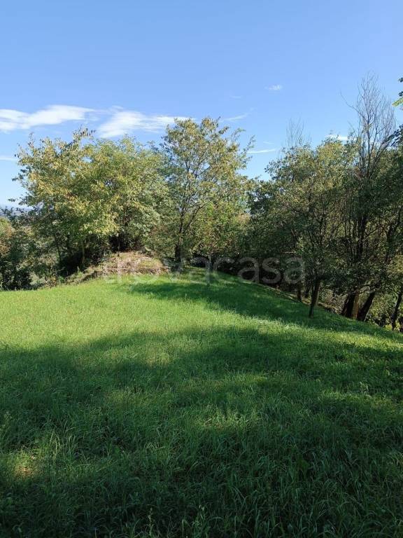 terreno agricolo in vendita a Castegnero