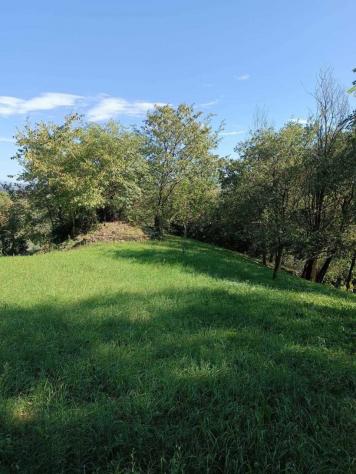 terreno agricolo in vendita a Castegnero