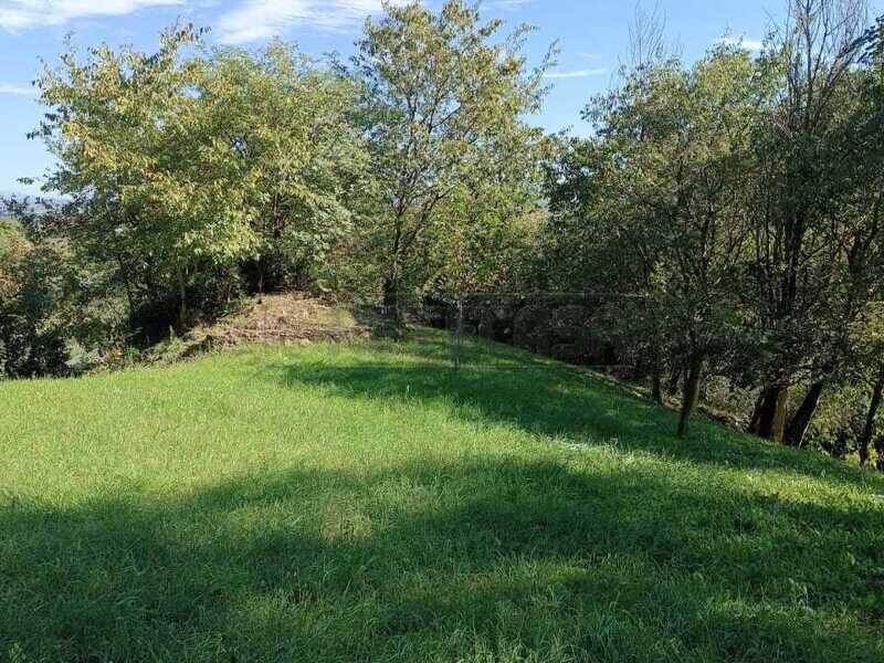 terreno agricolo in vendita a Castegnero
