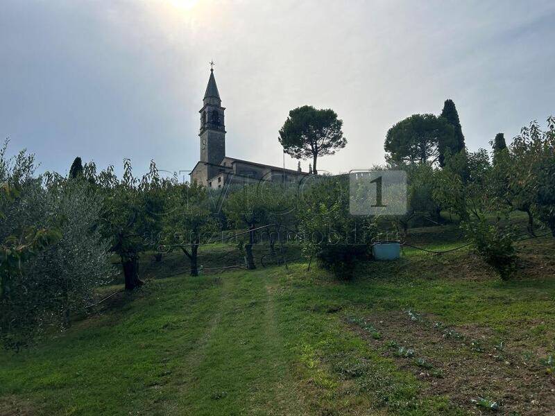 terreno agricolo in vendita a Castegnero