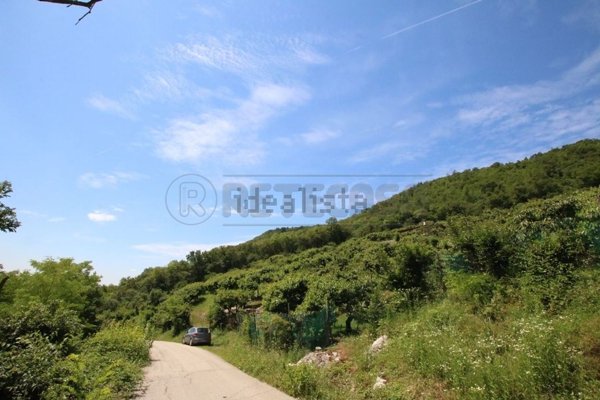 terreno agricolo in vendita a Castegnero