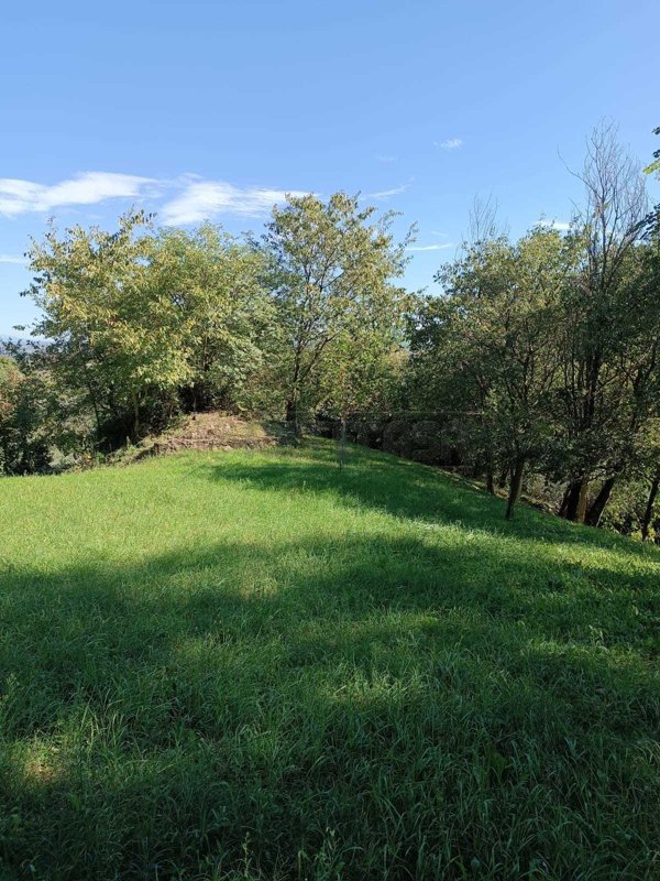 terreno agricolo in vendita a Castegnero