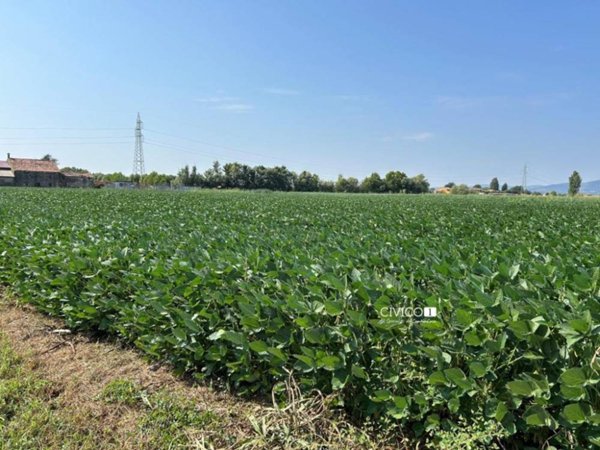 terreno agricolo in vendita a Castegnero
