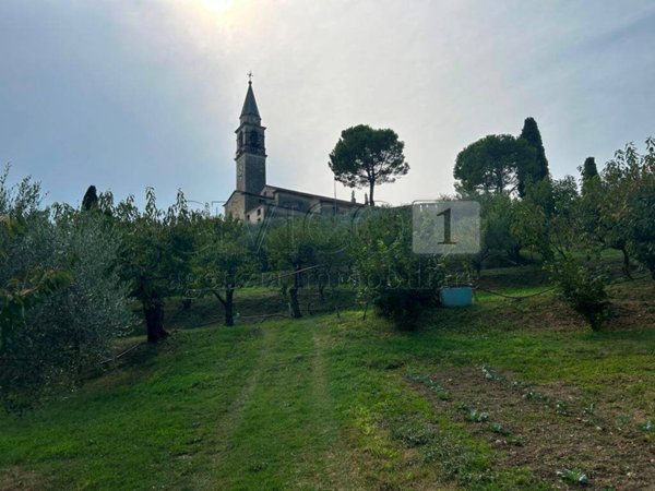 terreno agricolo in vendita a Castegnero